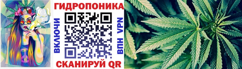 Шишки марихуана ГИДРОПОН  где продают   Сосновоборск 